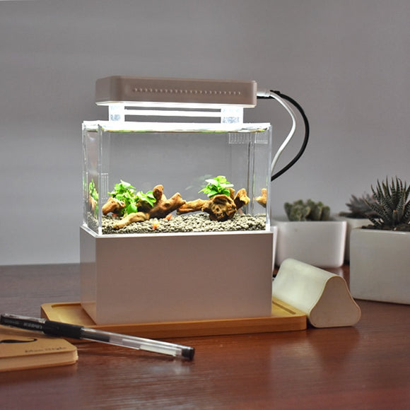 Portable Desktop Aquaponic Aquarium