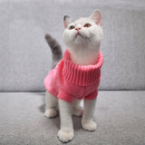 Cat Winter Clothing