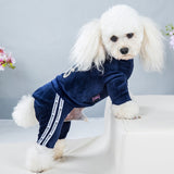 Fashion Dog Clothes