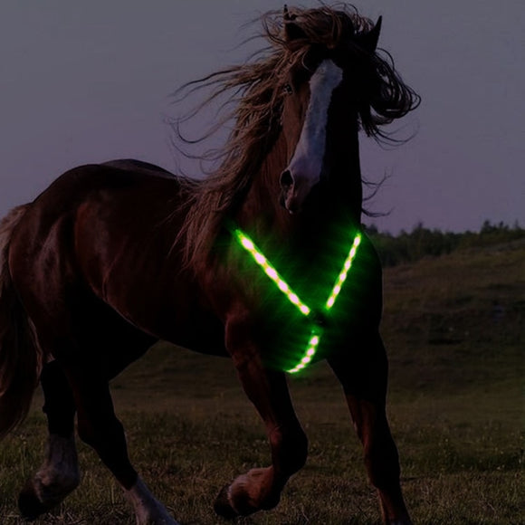 Horse Adjustable LED Light Chest Belt