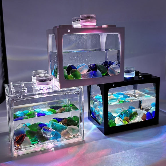 Mini Fish Tank